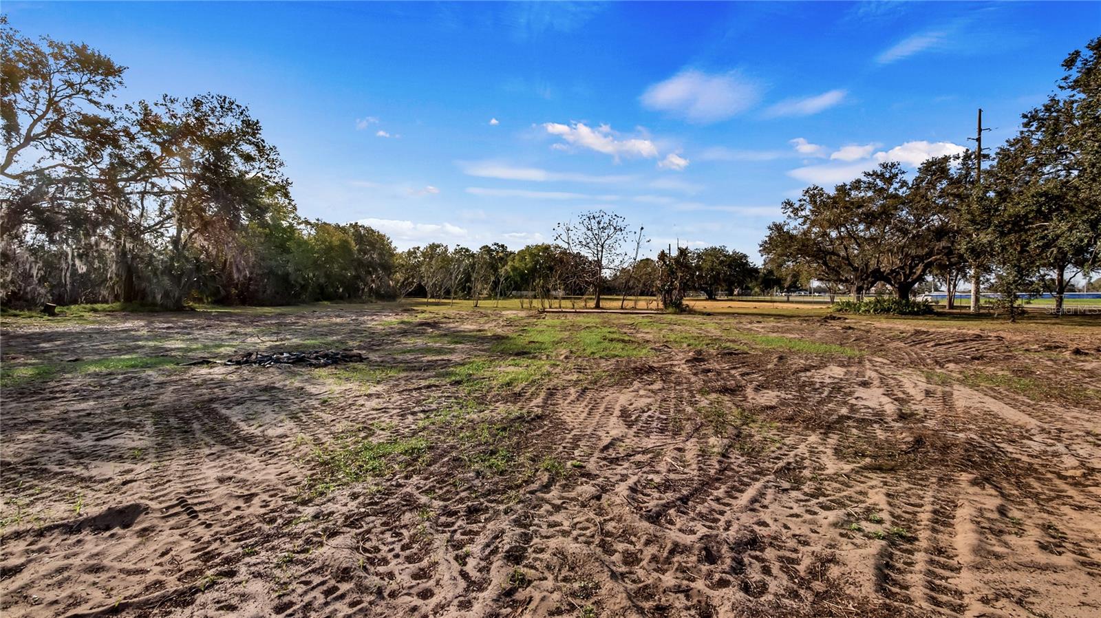 WOODLEA RD, TAVARES, FL, 32778
