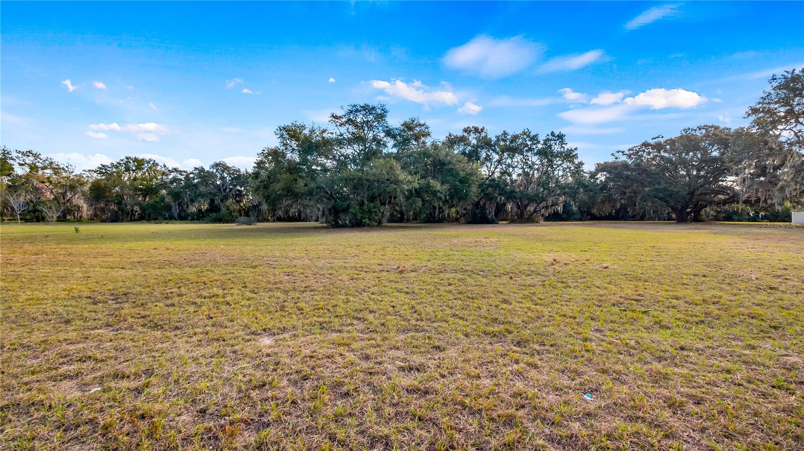 WOODLEA RD, TAVARES, FL, 32778