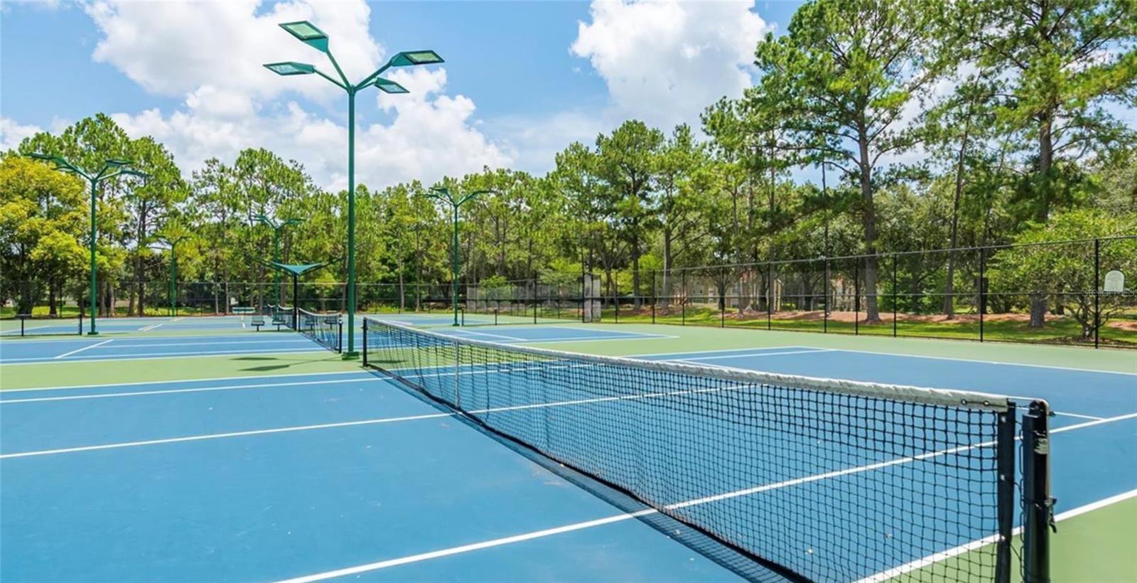 17833 GREEN WILLOW DR, TAMPA, FL, 33647