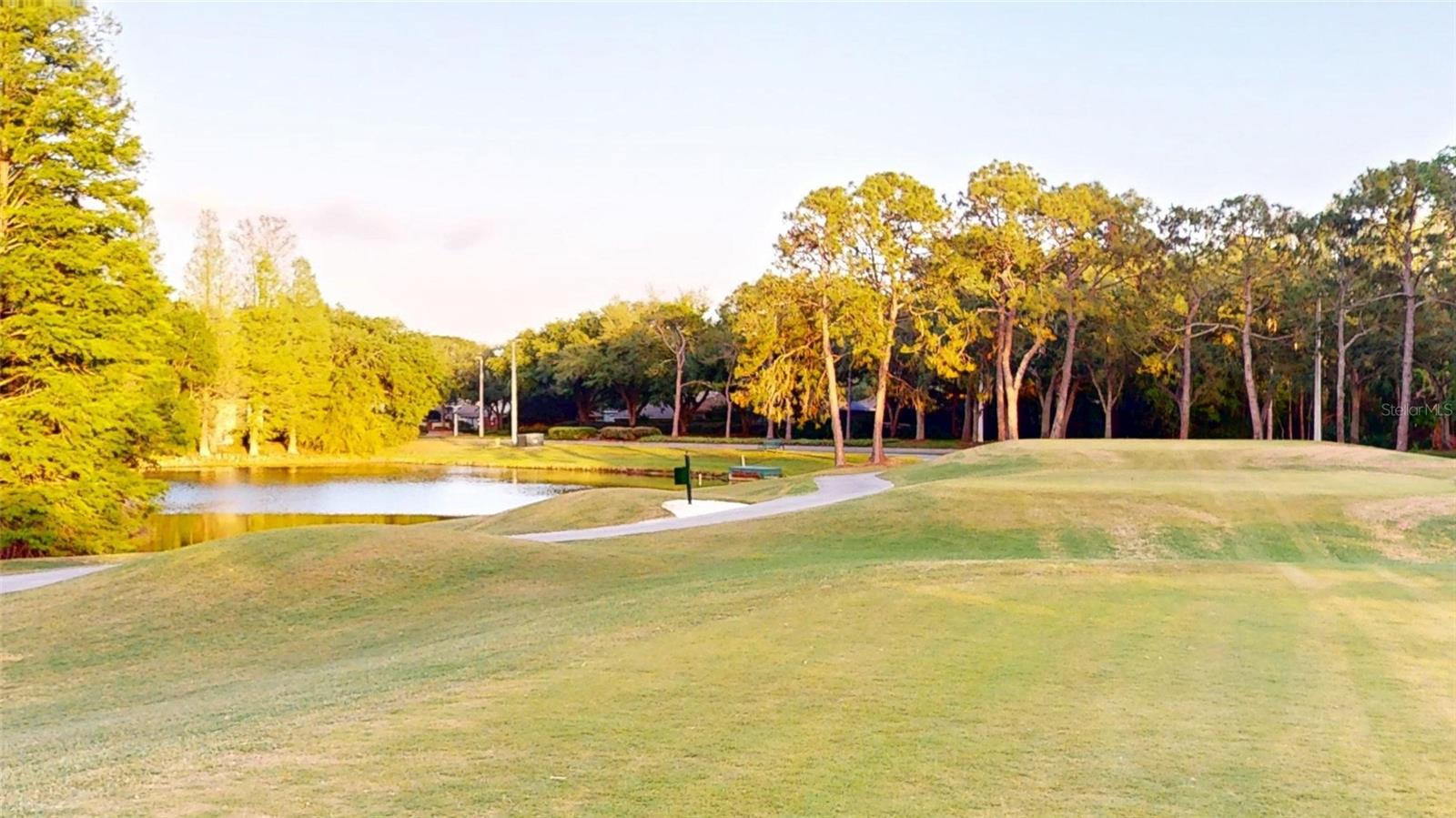 17833 GREEN WILLOW DR, TAMPA, FL, 33647