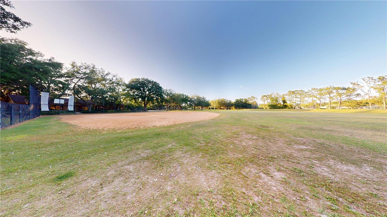 17833 GREEN WILLOW DR, TAMPA, FL, 33647