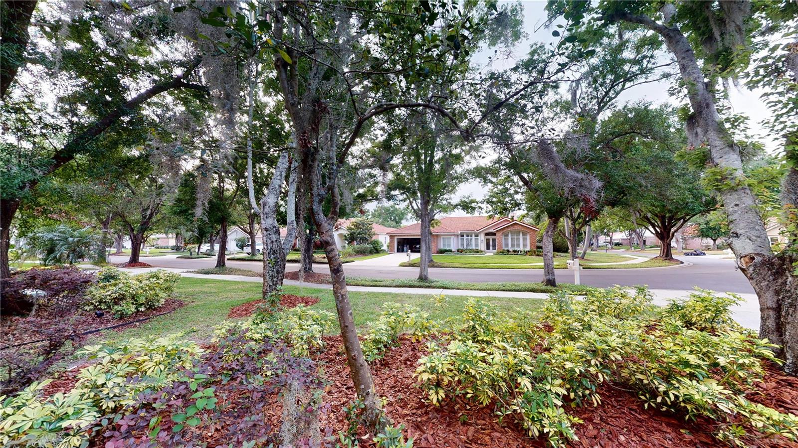 17833 GREEN WILLOW DR, TAMPA, FL, 33647