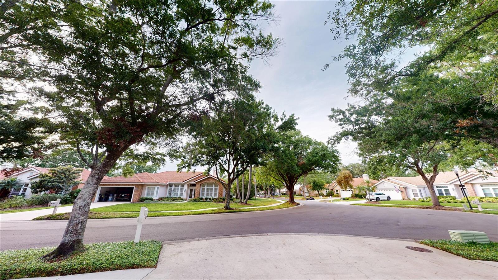 17833 GREEN WILLOW DR, TAMPA, FL, 33647