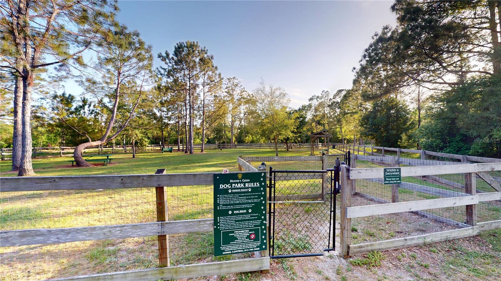 17833 GREEN WILLOW DR, TAMPA, FL, 33647