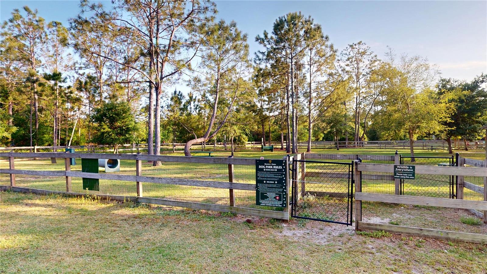 17833 GREEN WILLOW DR, TAMPA, FL, 33647