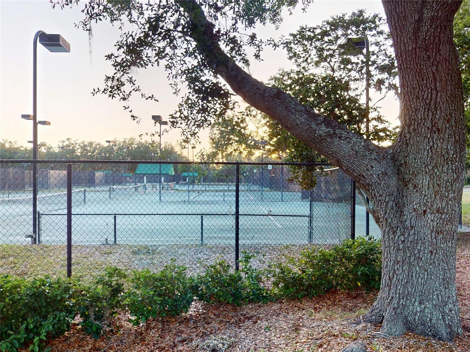 17833 GREEN WILLOW DR, TAMPA, FL, 33647