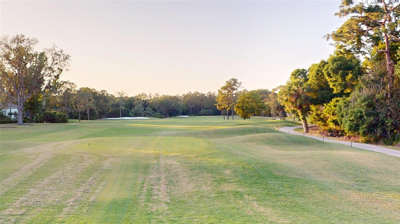 17833 GREEN WILLOW DR, TAMPA, FL, 33647