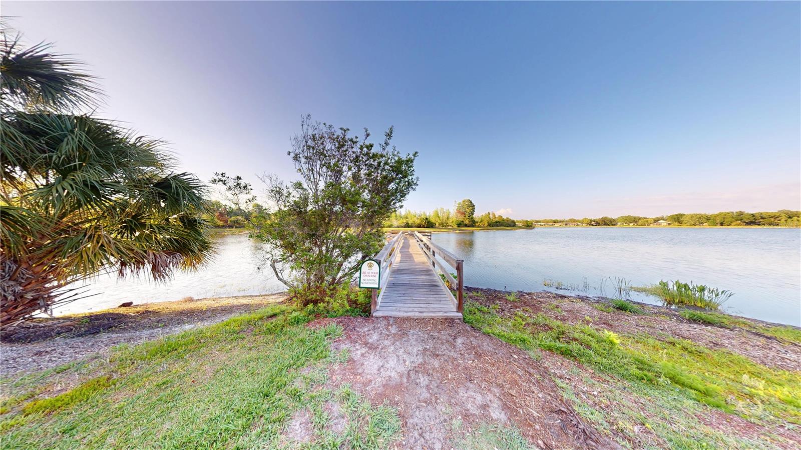 17833 GREEN WILLOW DR, TAMPA, FL, 33647