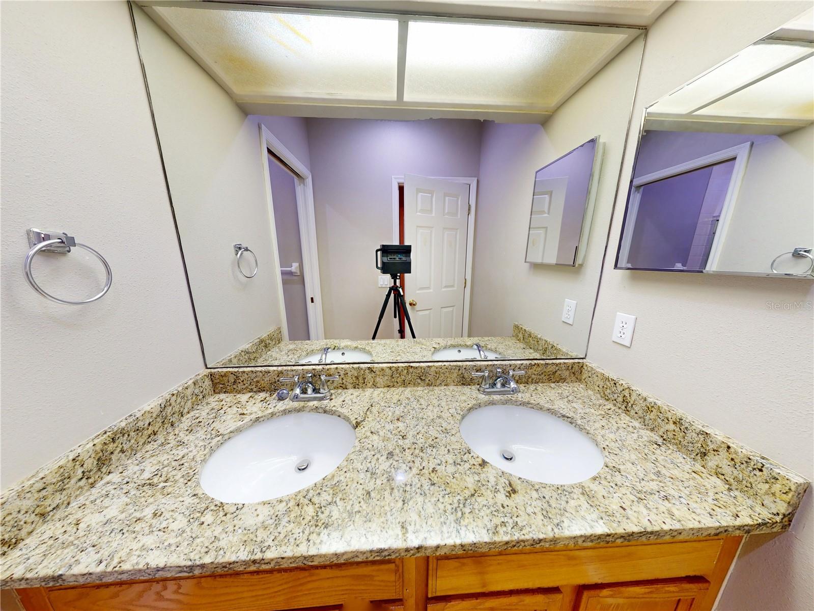 17833 GREEN WILLOW DR, TAMPA, FL, 33647