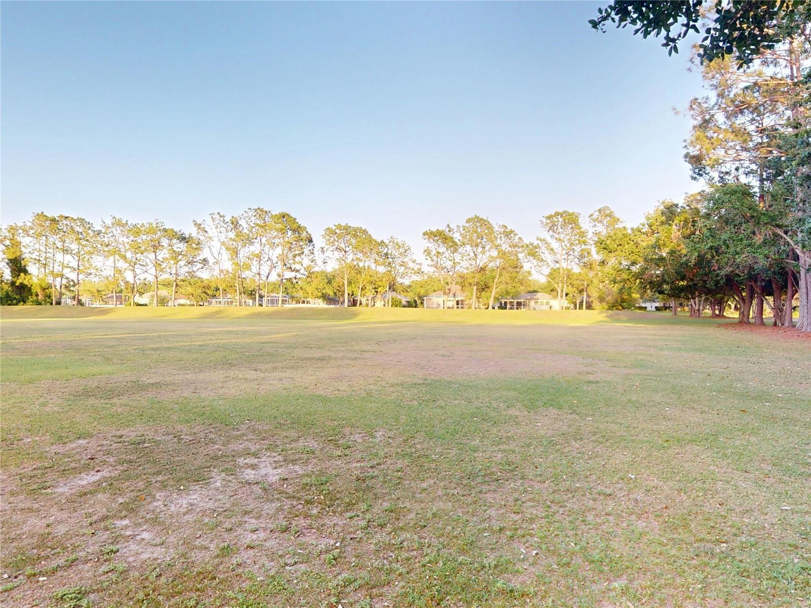 17833 GREEN WILLOW DR, TAMPA, FL, 33647