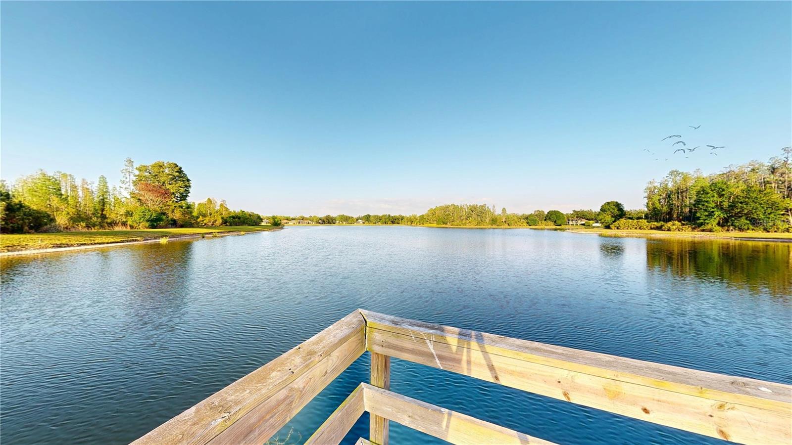 17833 GREEN WILLOW DR, TAMPA, FL, 33647