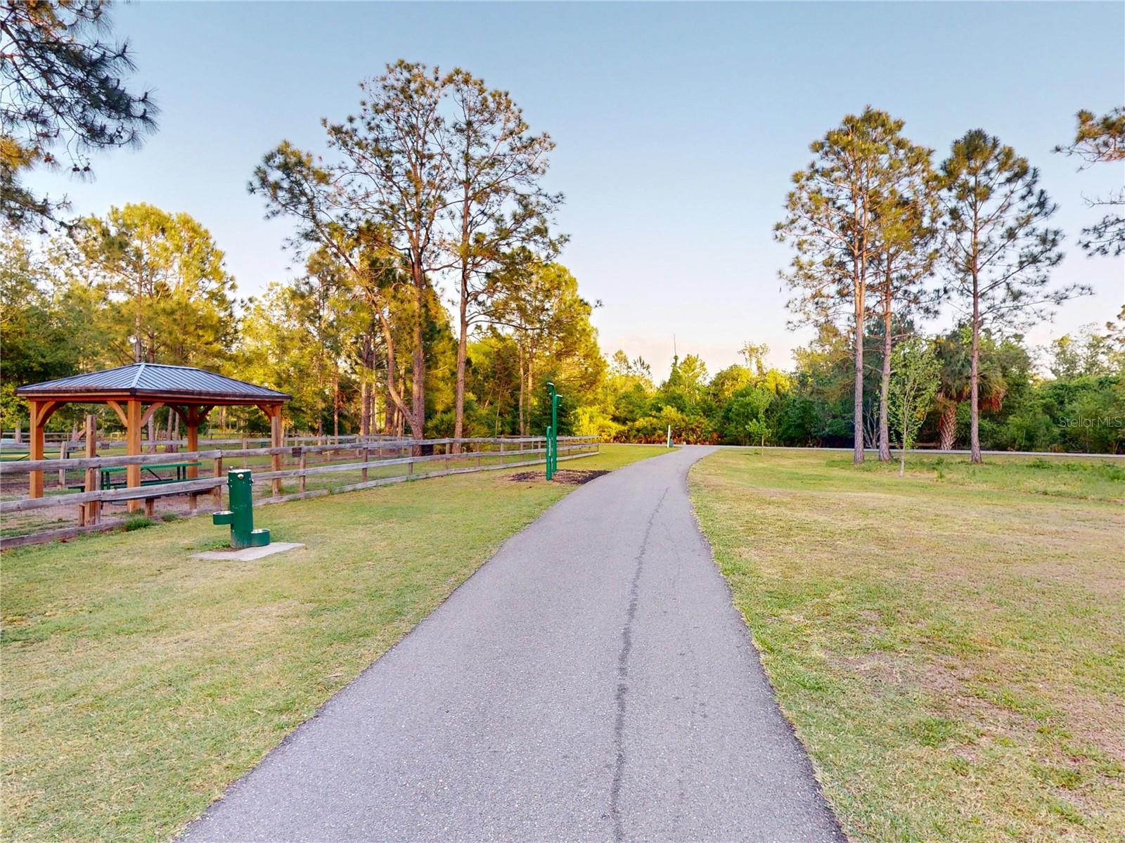 17833 GREEN WILLOW DR, TAMPA, FL, 33647