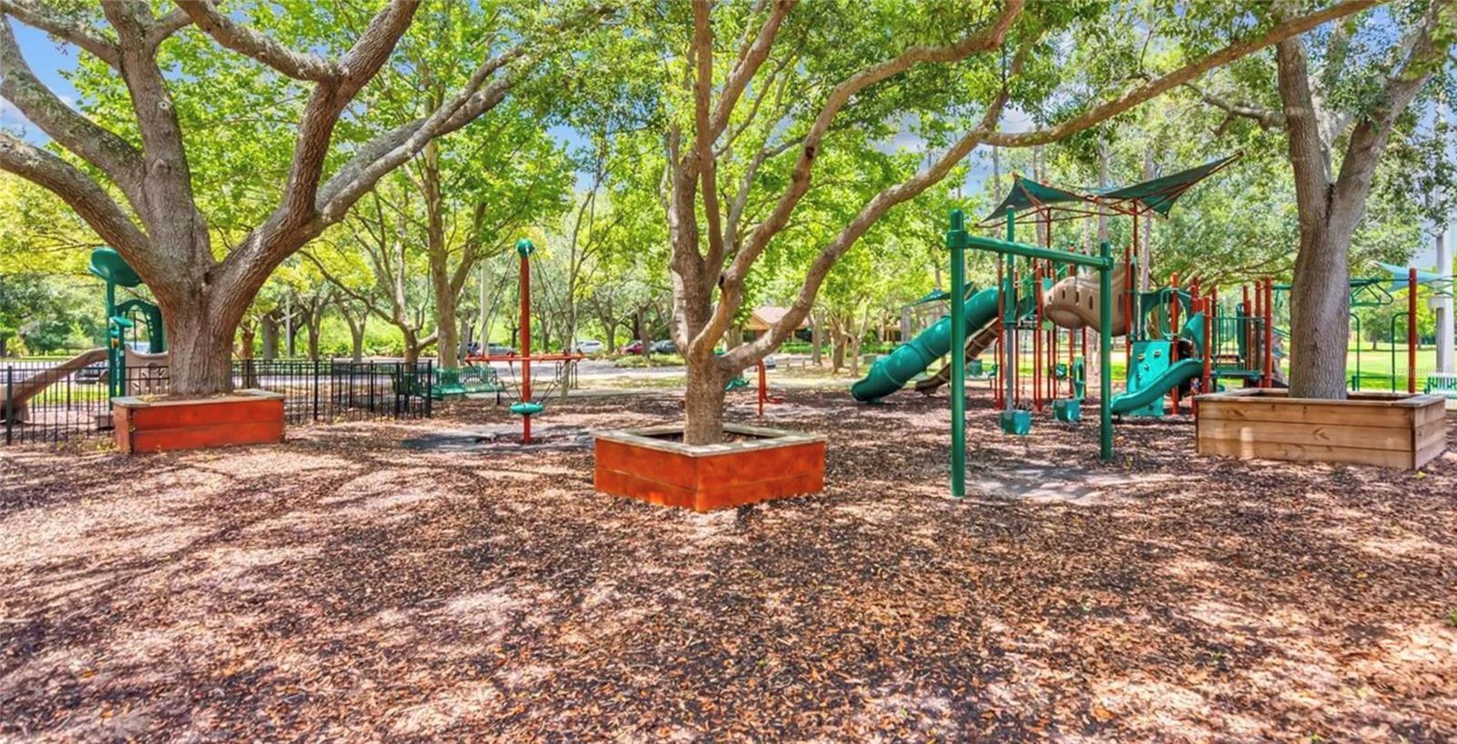 17833 GREEN WILLOW DR, TAMPA, FL, 33647