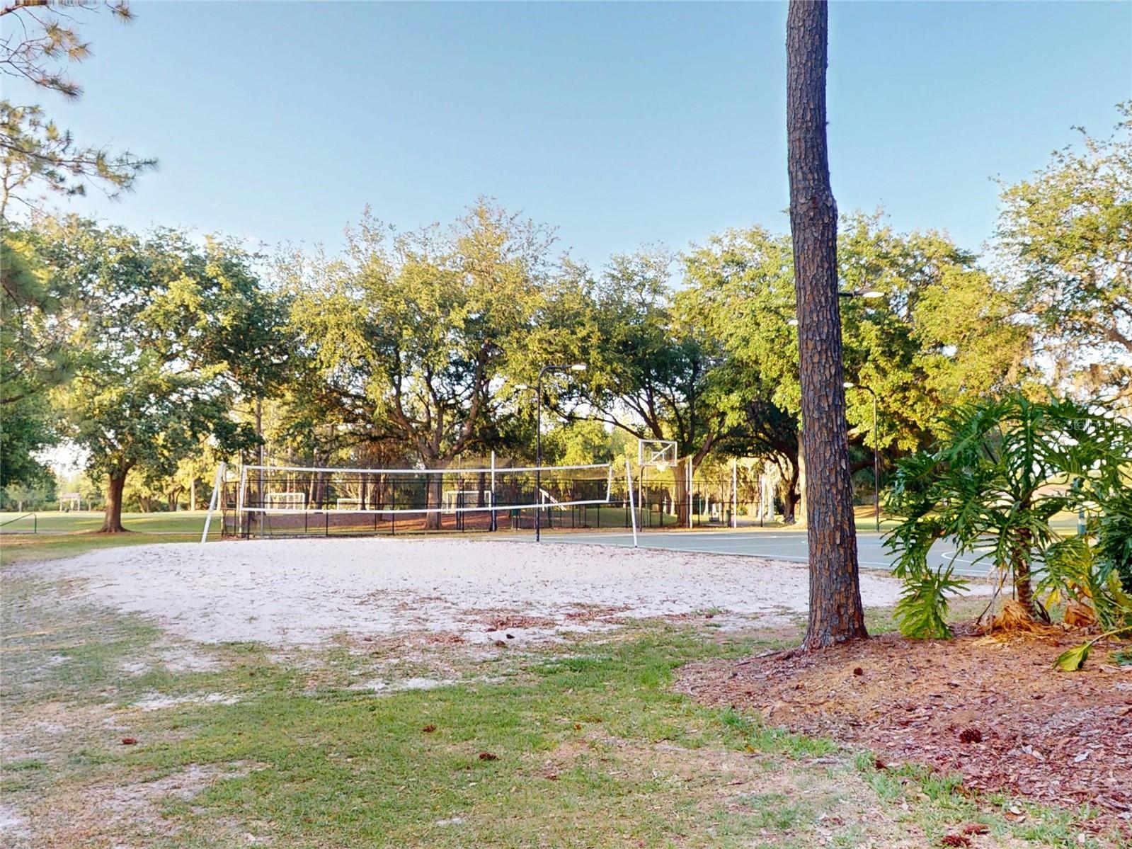 17833 GREEN WILLOW DR, TAMPA, FL, 33647