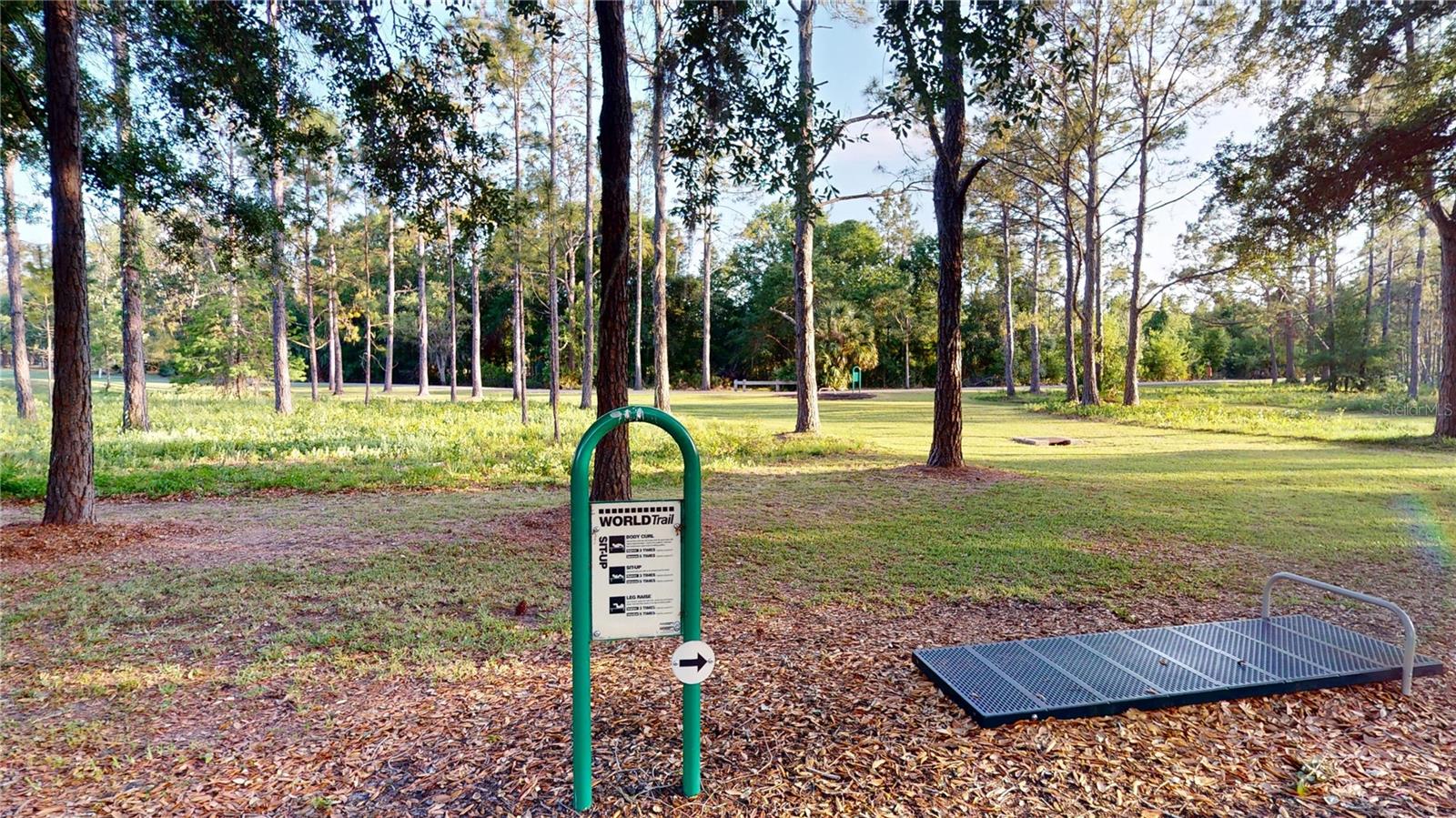 17833 GREEN WILLOW DR, TAMPA, FL, 33647