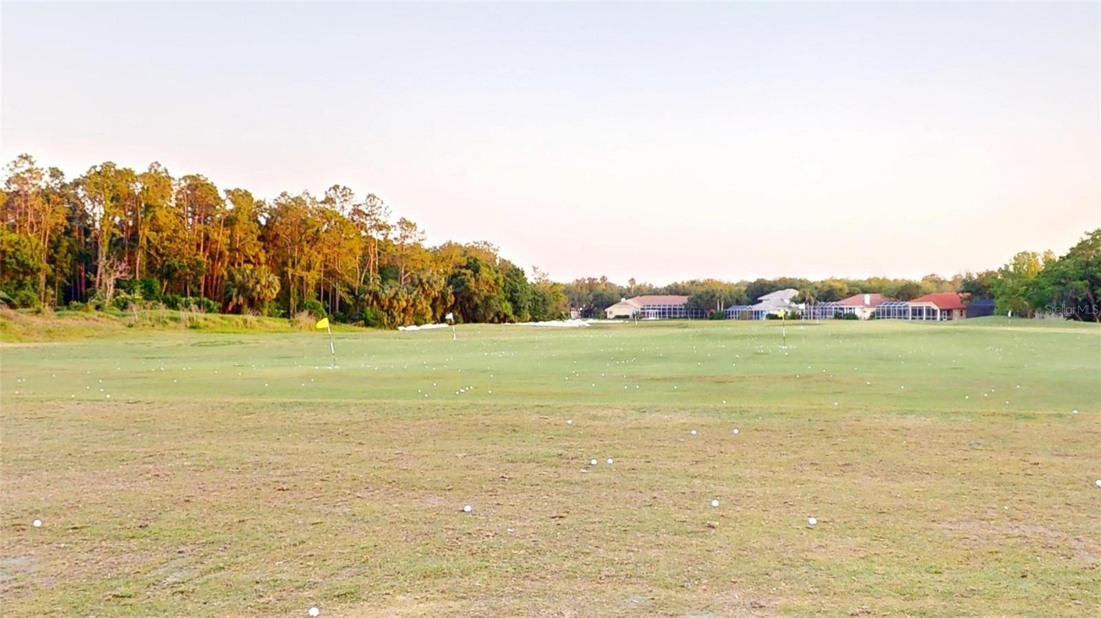 17833 GREEN WILLOW DR, TAMPA, FL, 33647