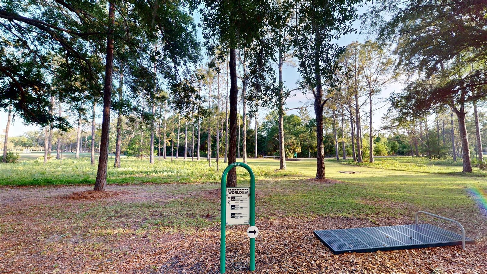 17833 GREEN WILLOW DR, TAMPA, FL, 33647