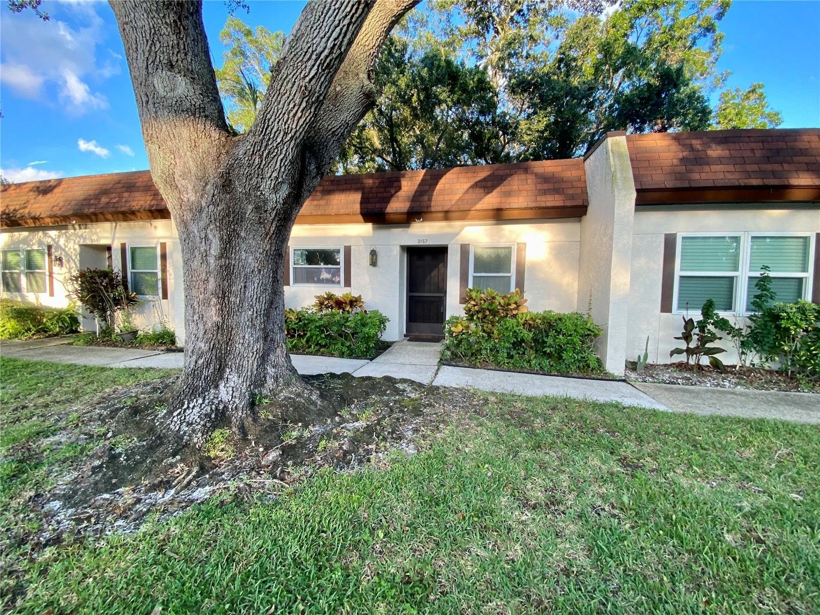 3157 MISSION GROVE DR, PALM HARBOR, FL, 34684