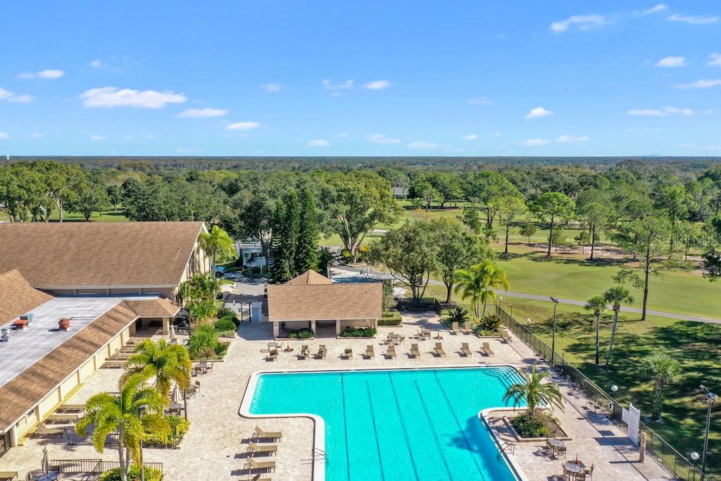 3157 MISSION GROVE DR, PALM HARBOR, FL, 34684