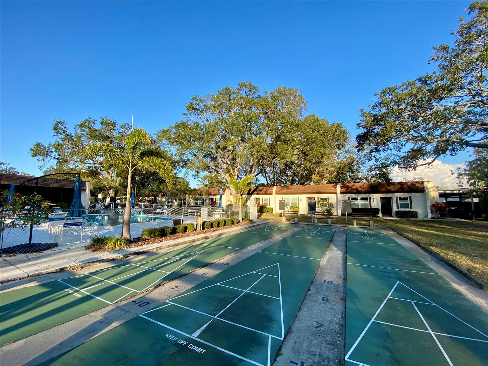 3157 MISSION GROVE DR, PALM HARBOR, FL, 34684