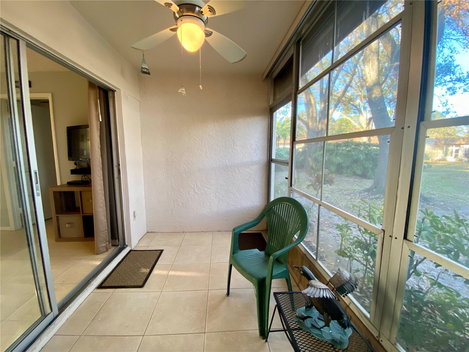 3157 MISSION GROVE DR, PALM HARBOR, FL, 34684