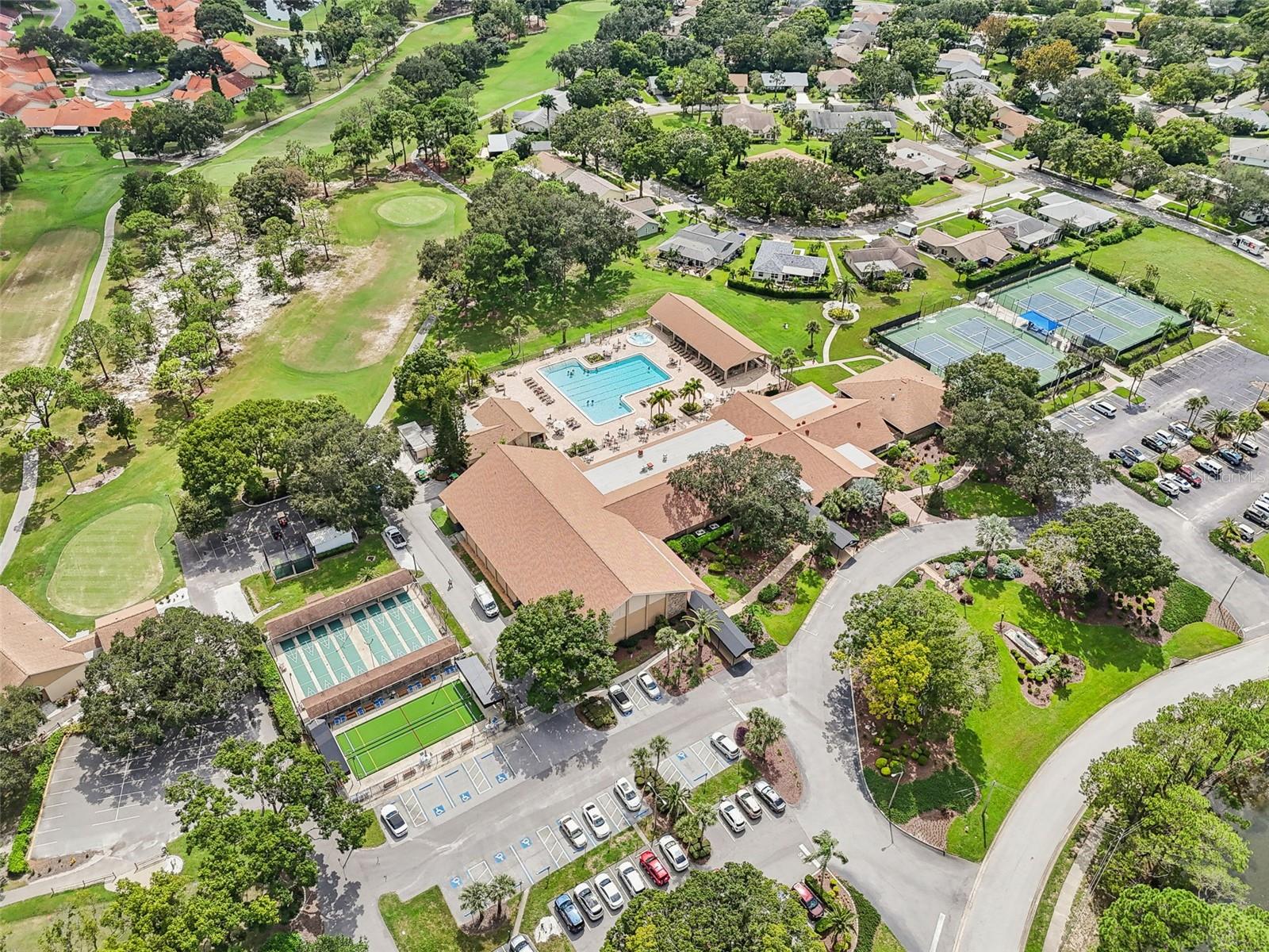 3157 MISSION GROVE DR, PALM HARBOR, FL, 34684