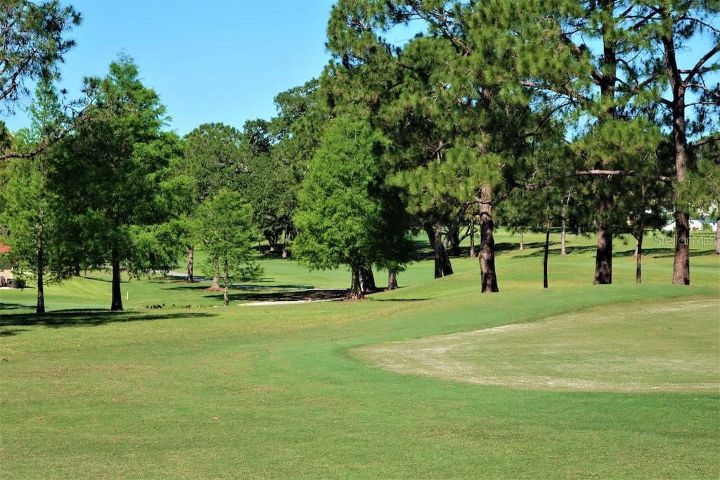 3157 MISSION GROVE DR, PALM HARBOR, FL, 34684