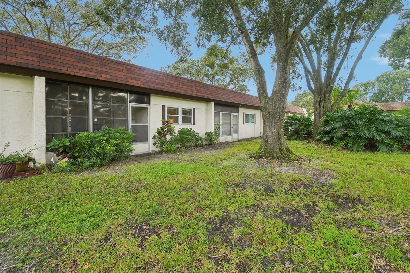 3157 MISSION GROVE DR, PALM HARBOR, FL, 34684