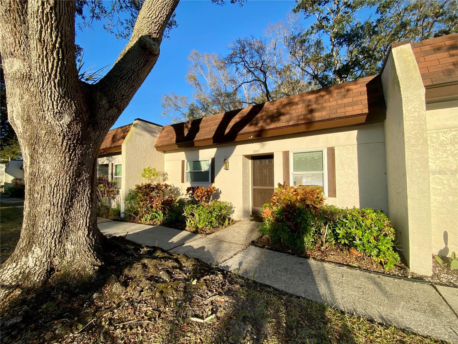 3157 MISSION GROVE DR, PALM HARBOR, FL, 34684