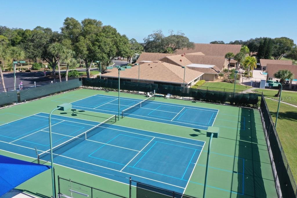 3157 MISSION GROVE DR, PALM HARBOR, FL, 34684