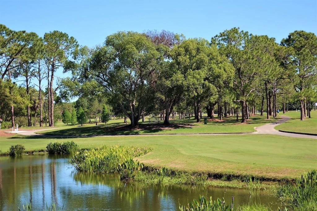 3157 MISSION GROVE DR, PALM HARBOR, FL, 34684