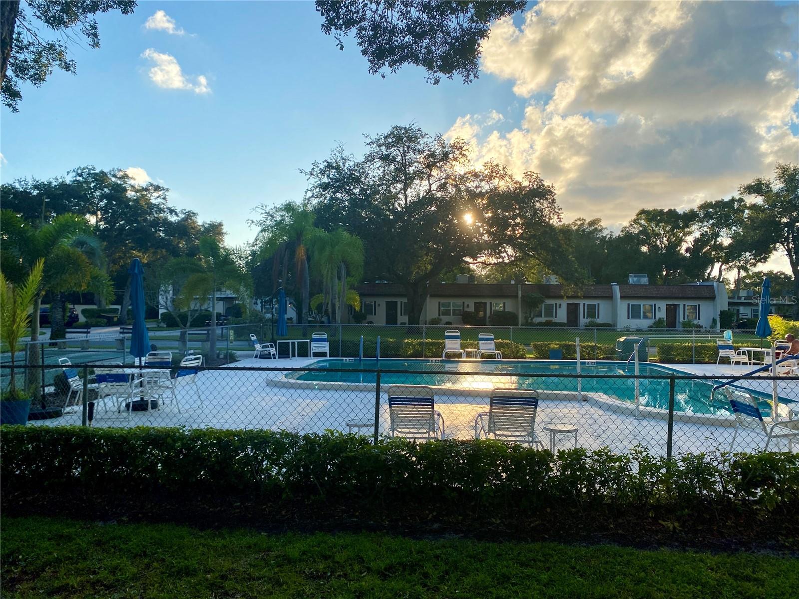 3157 MISSION GROVE DR, PALM HARBOR, FL, 34684