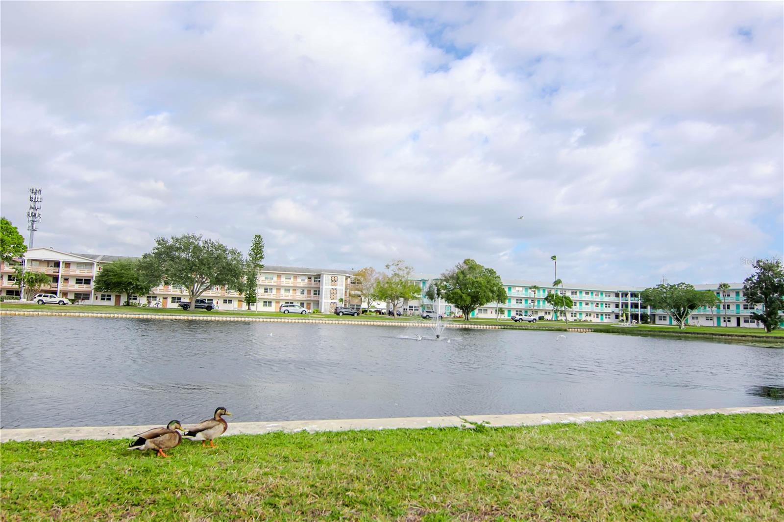 5850 21ST ST N #12, ST PETERSBURG, FL, 33714