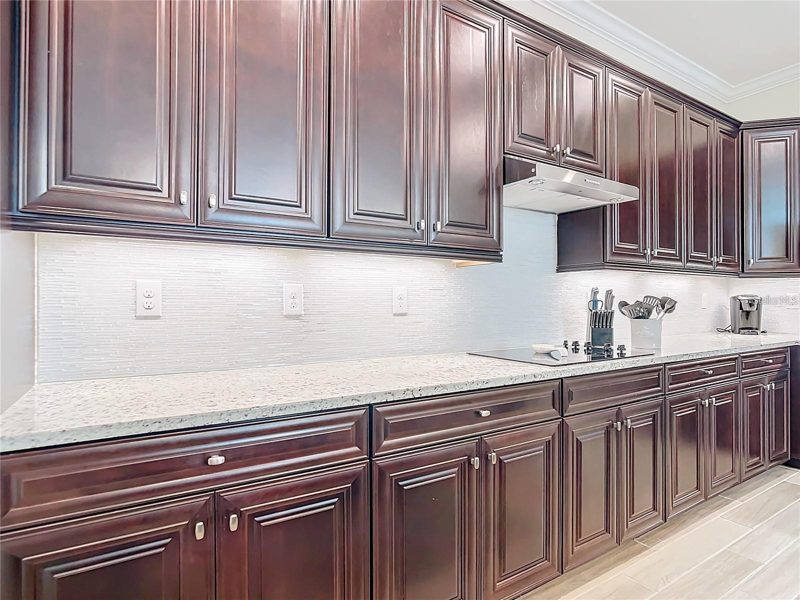 25025 SPARTINA DR, VENICE, FL, 34293