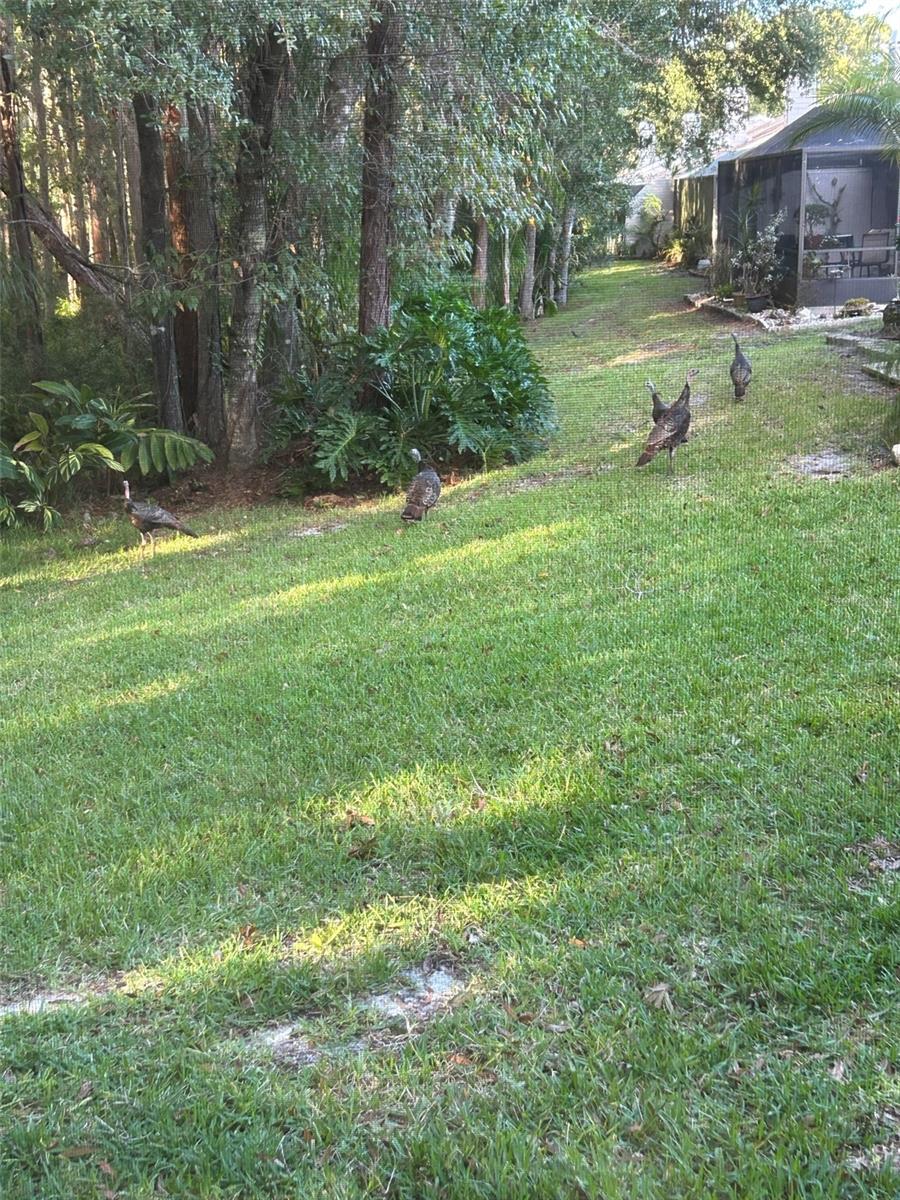 4018 SALEM SQUARE PKWY, PALM HARBOR, FL, 34685