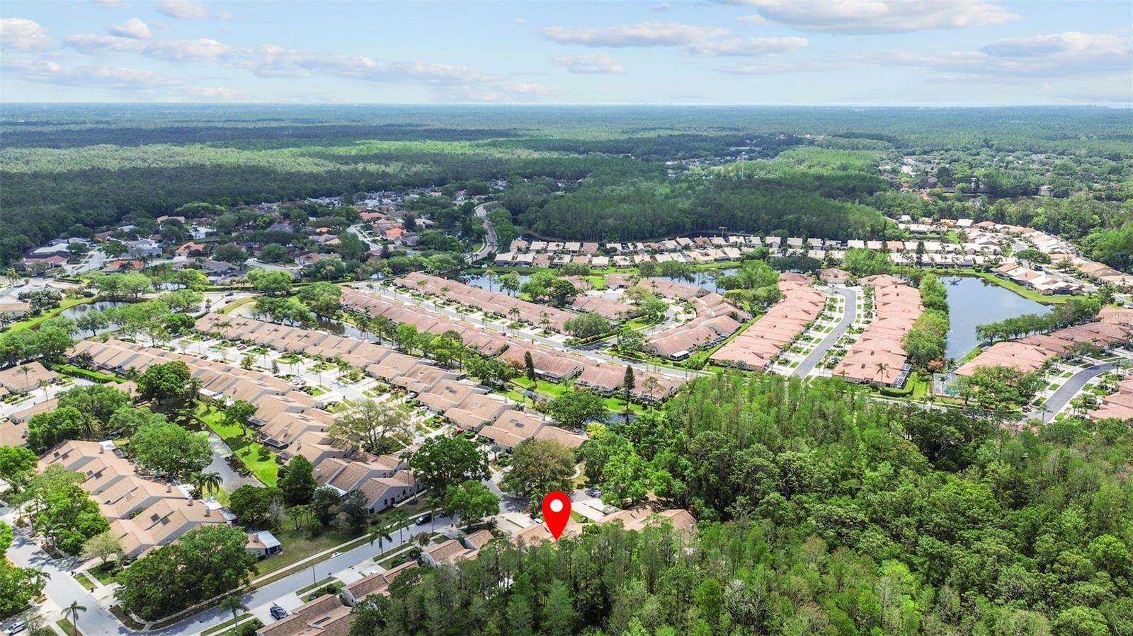 4018 SALEM SQUARE PKWY, PALM HARBOR, FL, 34685