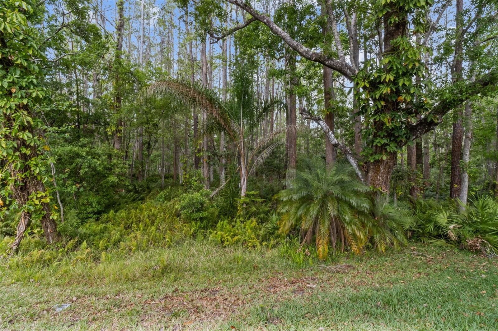 4018 SALEM SQUARE PKWY, PALM HARBOR, FL, 34685