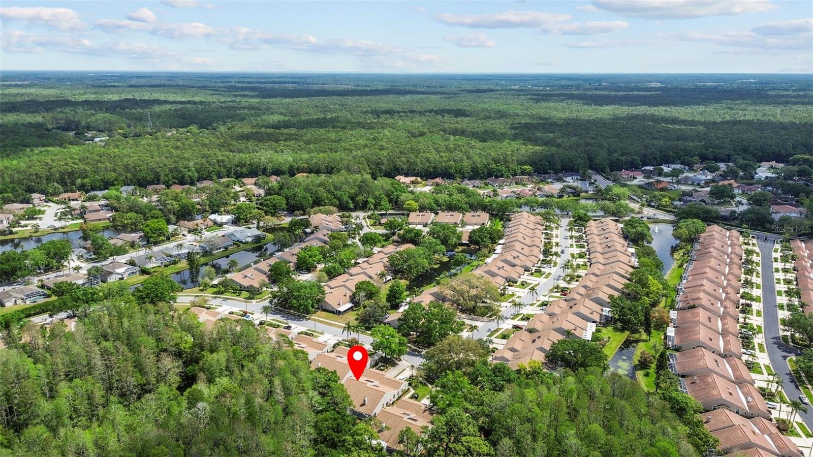 4018 SALEM SQUARE PKWY, PALM HARBOR, FL, 34685