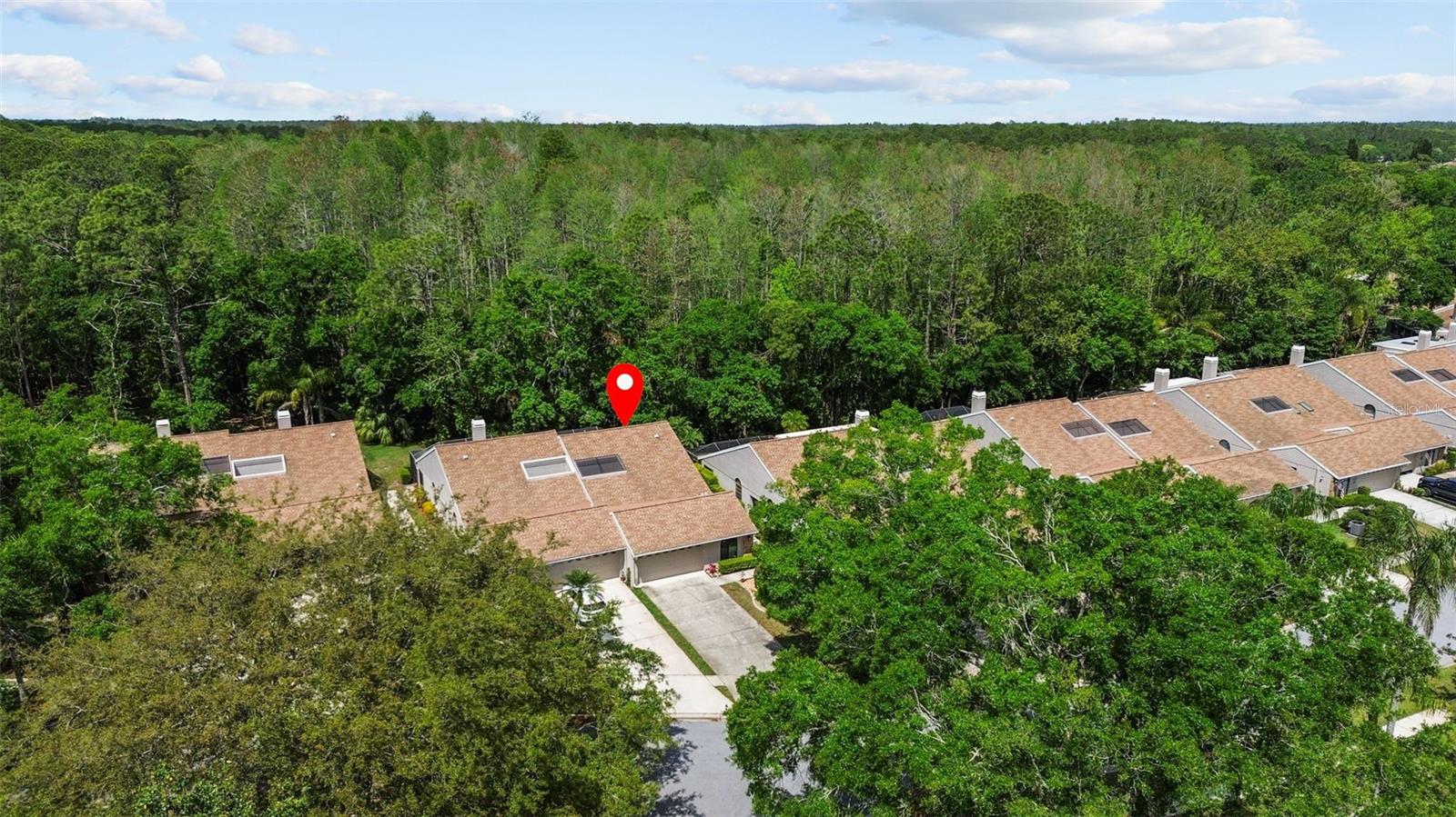 4018 SALEM SQUARE PKWY, PALM HARBOR, FL, 34685