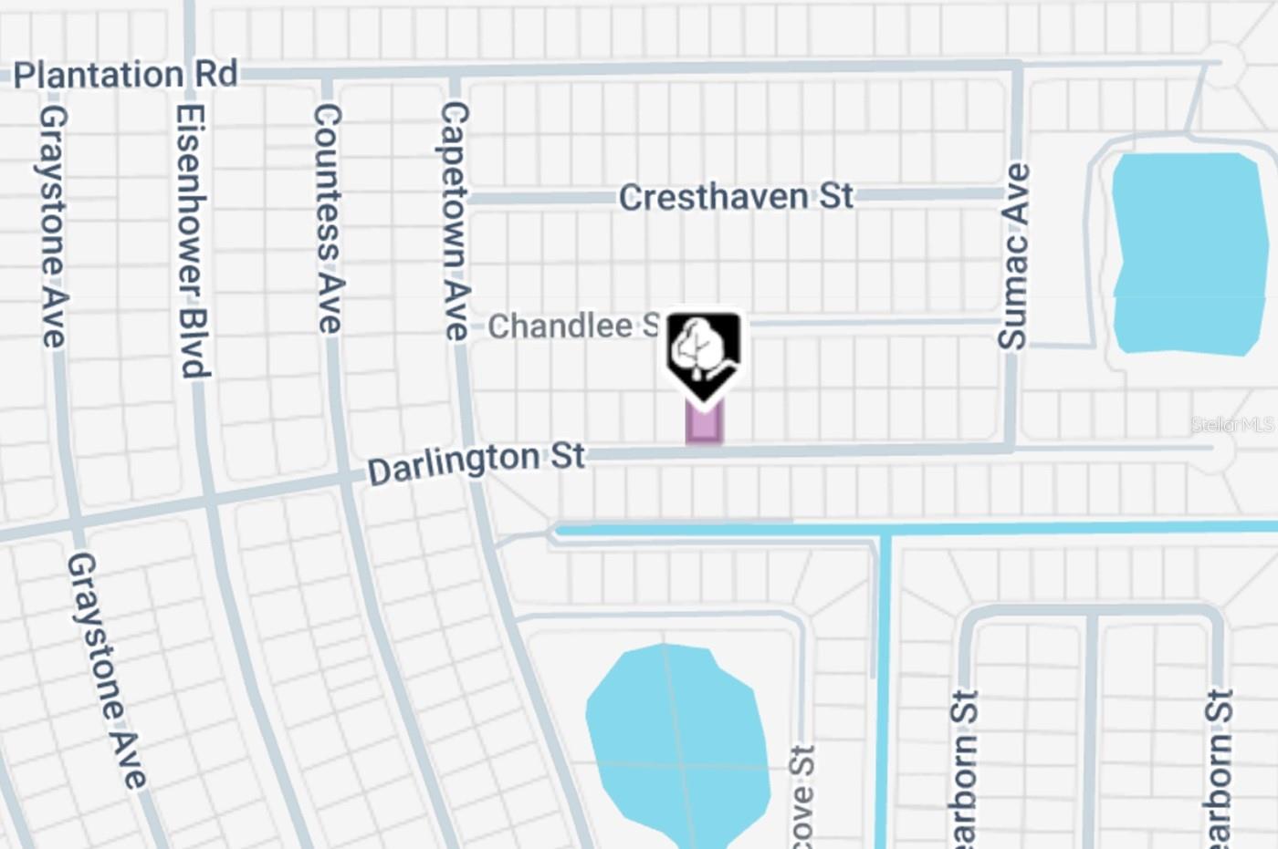 1035 DARLINGTON ST, LEHIGH ACRES, FL, 33974