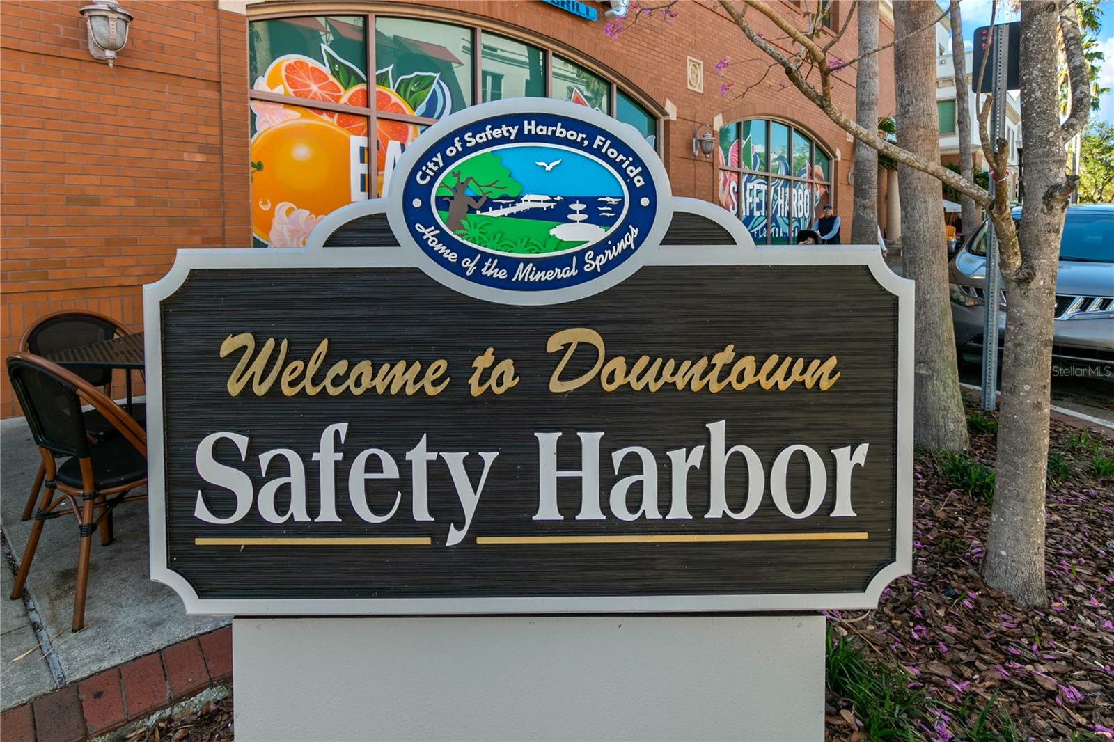 43 FRIENDSHIP CT, SAFETY HARBOR, FL, 34695