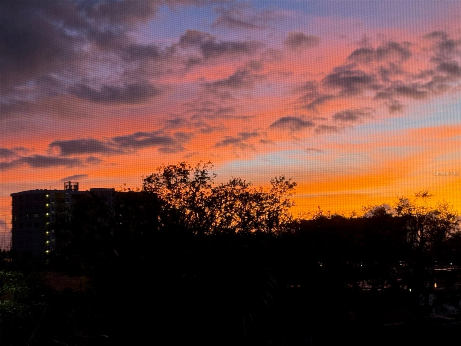 340 CAUSEWAY BLVD #209, DUNEDIN, FL, 34698