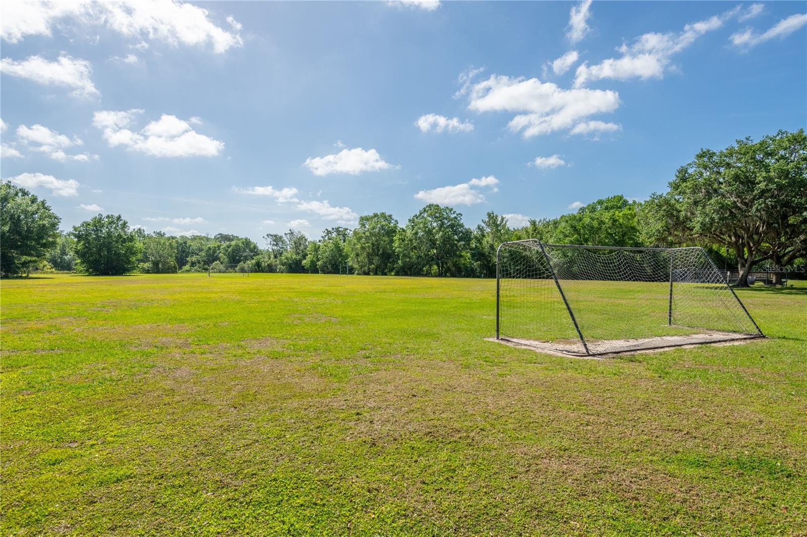 4007 CANTER CT, VALRICO, FL, 33596
