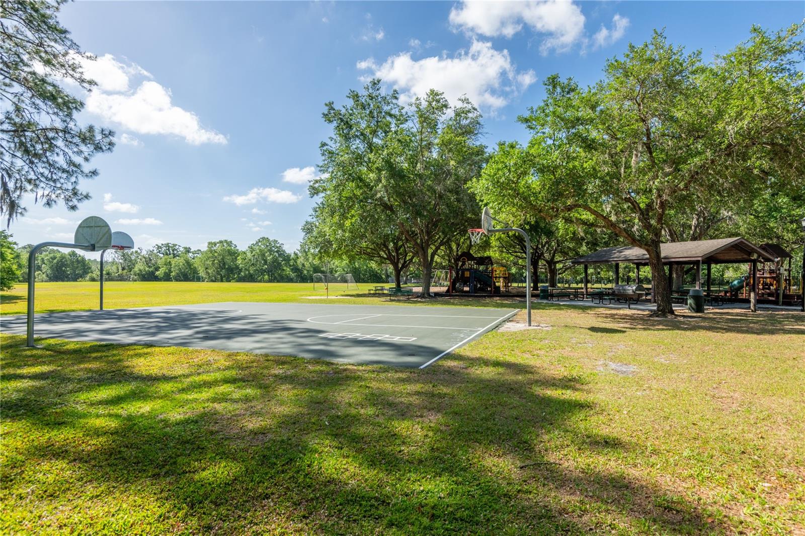 4007 CANTER CT, VALRICO, FL, 33596