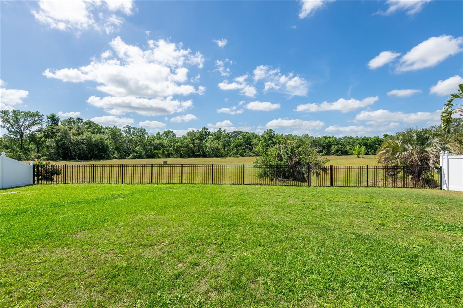 4007 CANTER CT, VALRICO, FL, 33596
