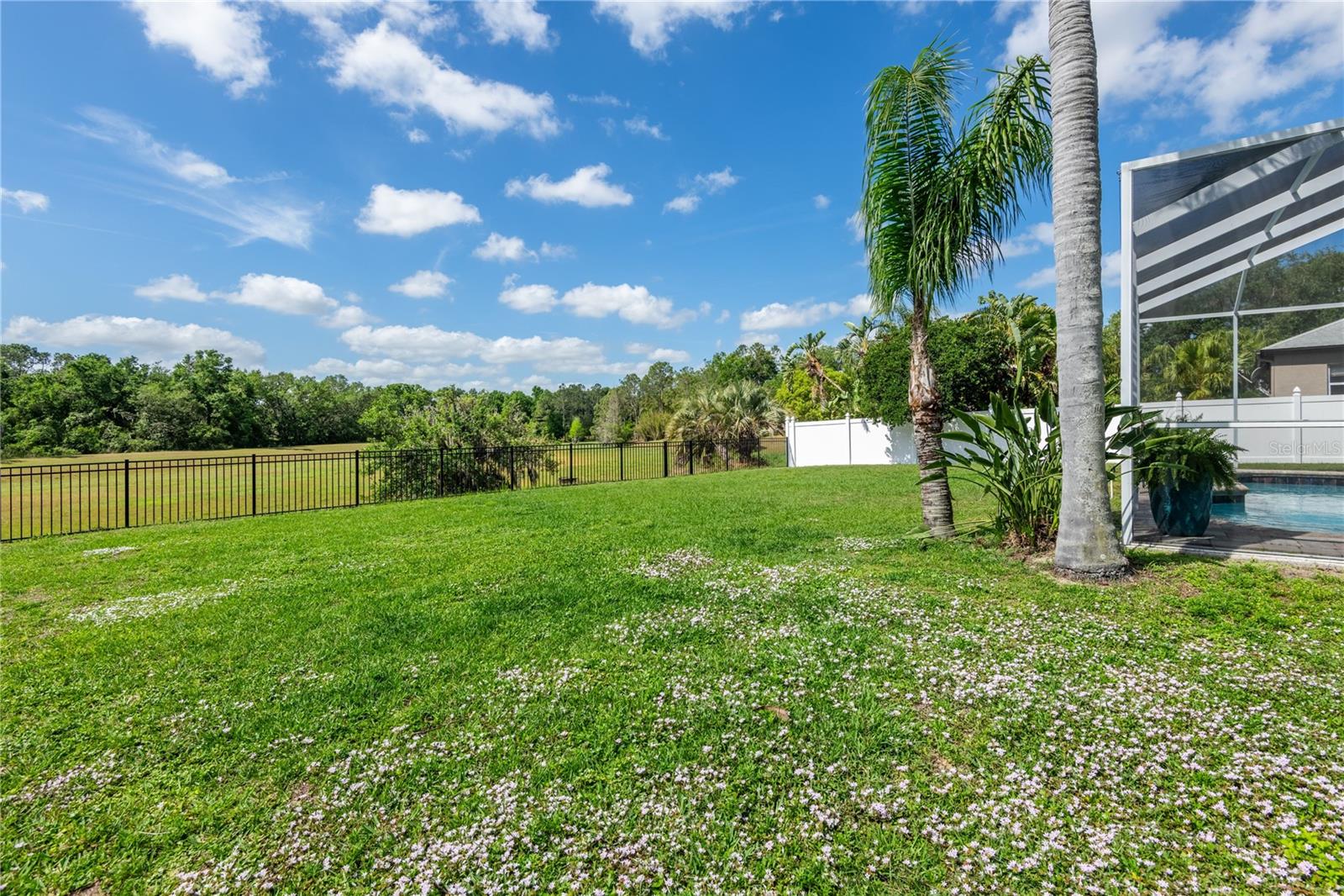 4007 CANTER CT, VALRICO, FL, 33596