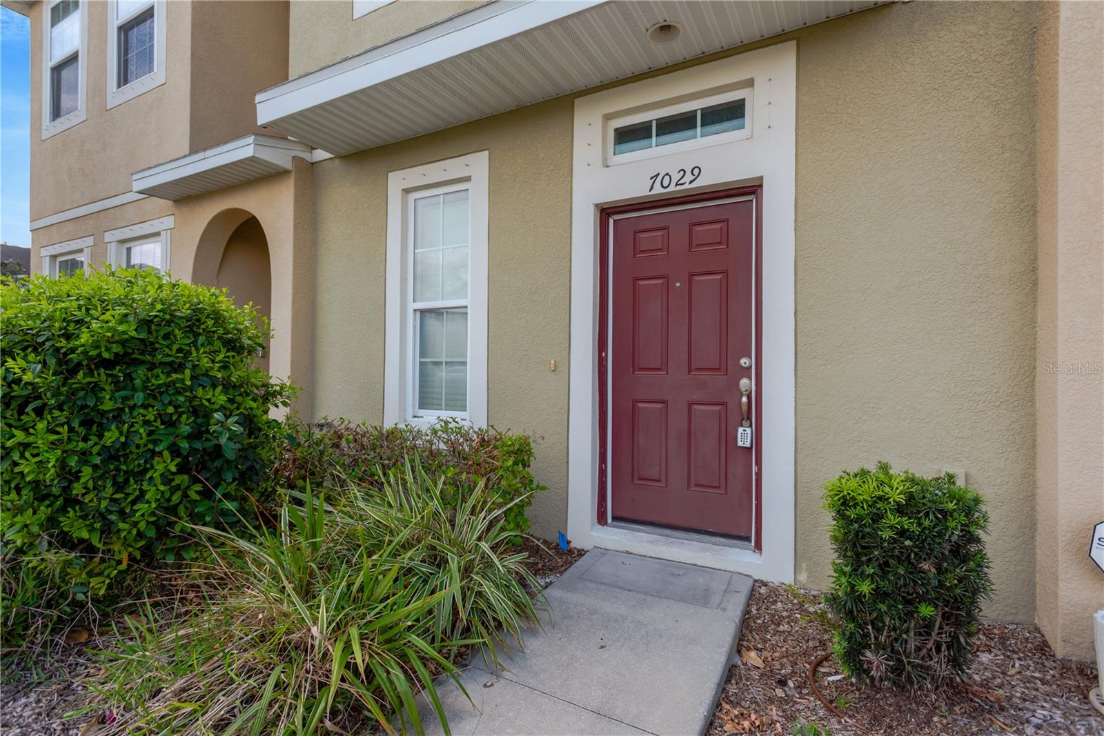 7029 WHITE TREETOP PL, RIVERVIEW, FL, 33578