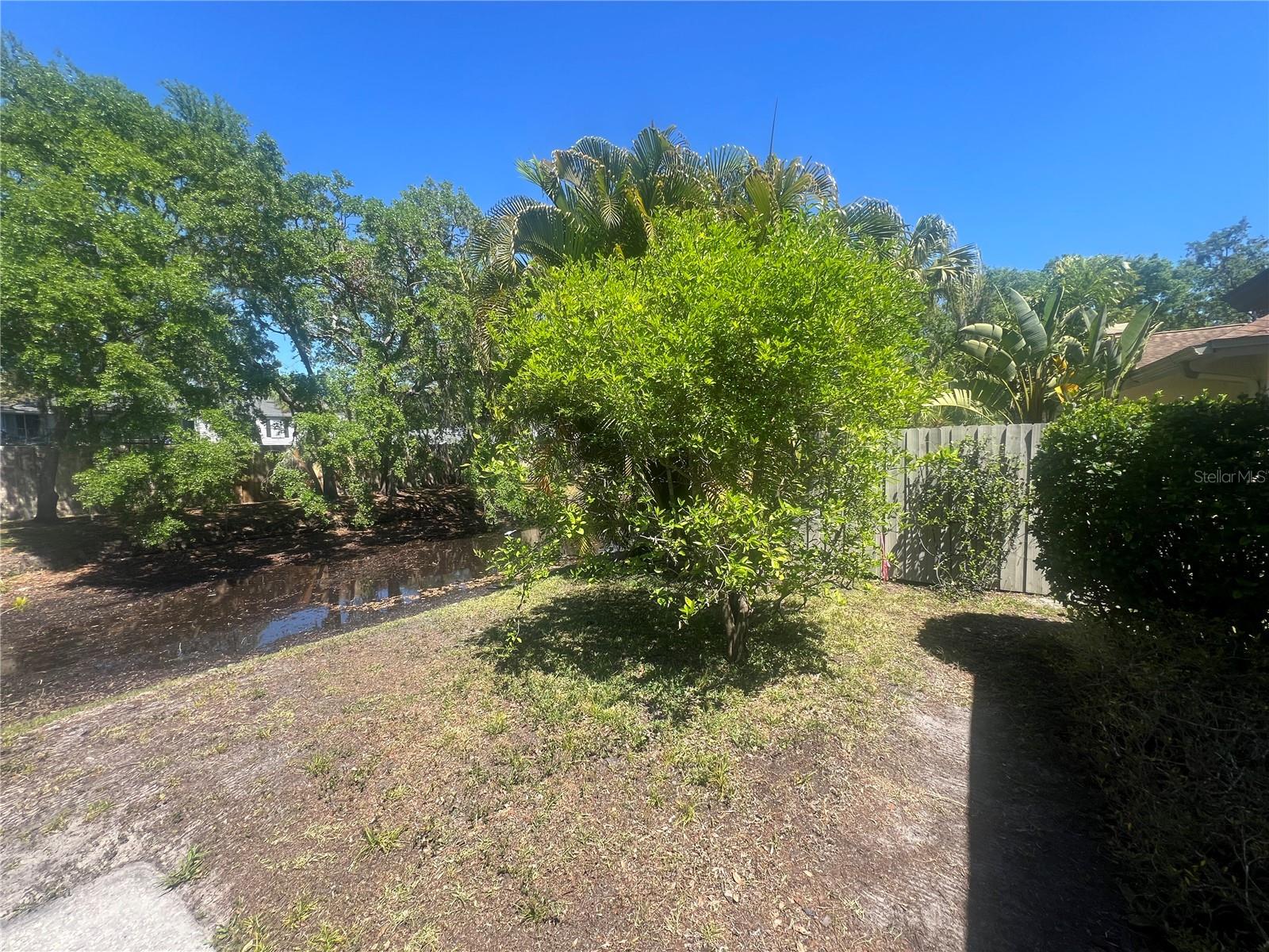 13704 LAZY OAK DR, TAMPA, FL, 33613