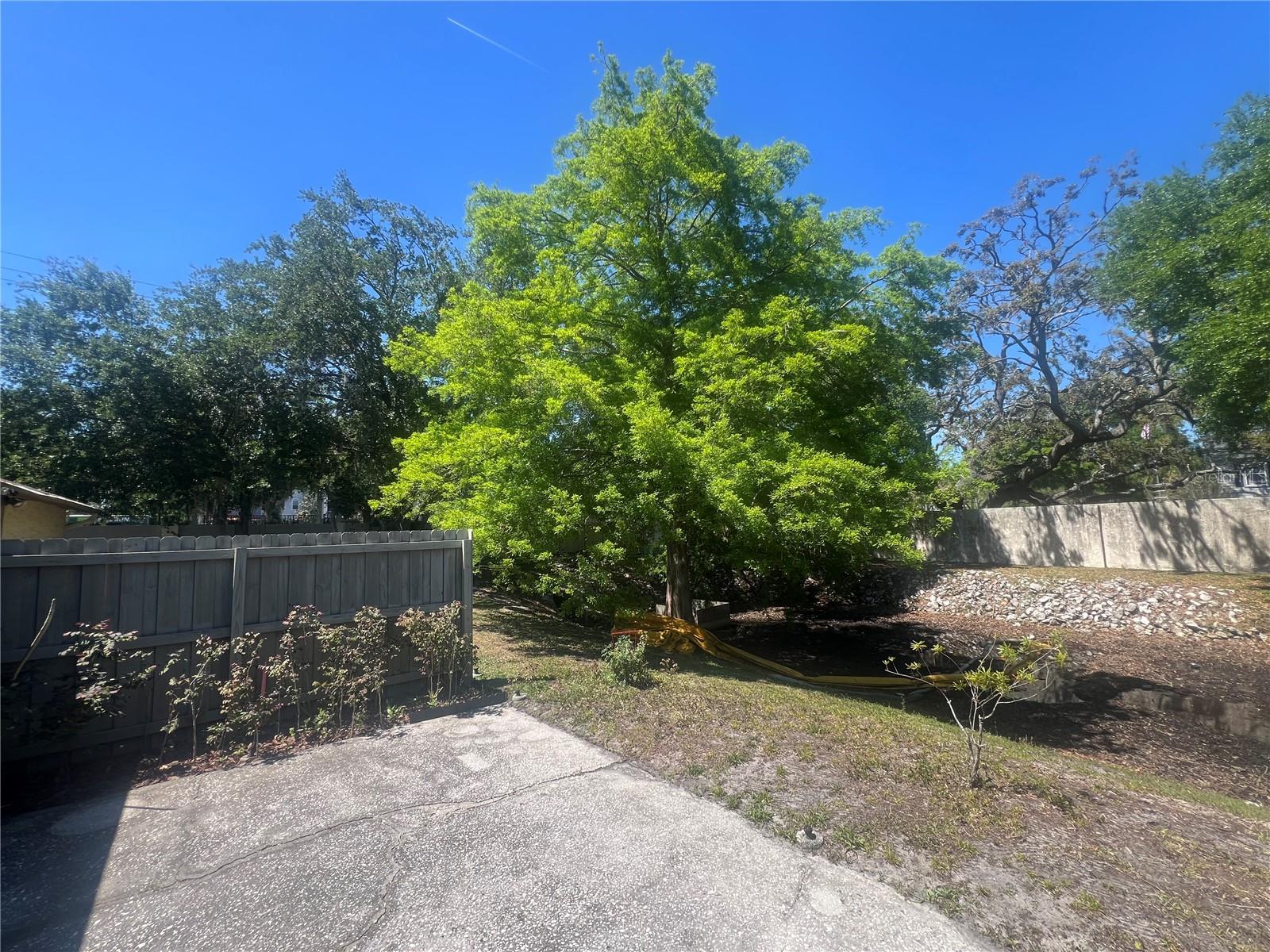 13704 LAZY OAK DR, TAMPA, FL, 33613