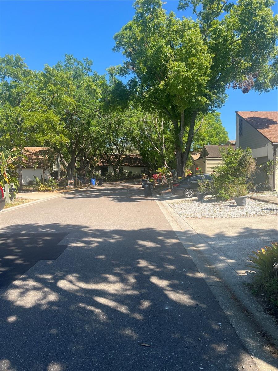 13704 LAZY OAK DR, TAMPA, FL, 33613